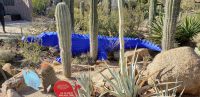 PICTURES/Desert Botanical Gardens - Wild Rising Cracking Art/t_Crock4.jpg
